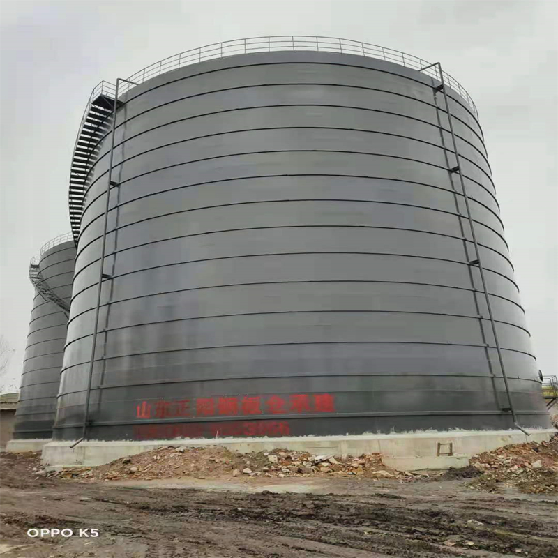 南召3万吨大型钢板库