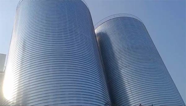 南召2座混凝土高架卷板仓